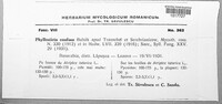 Image Associated With the Occurence